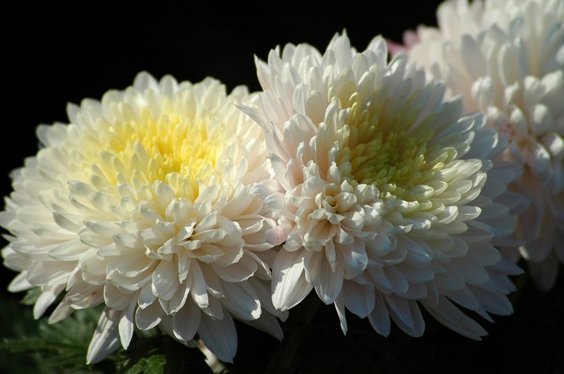 Оксана Рыжкова ...Silence... | 