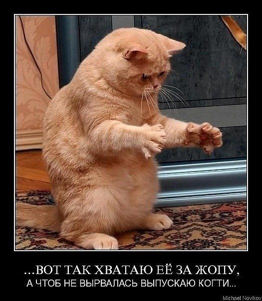 Алексей Станиславович ♣Koт♣ | Саранск