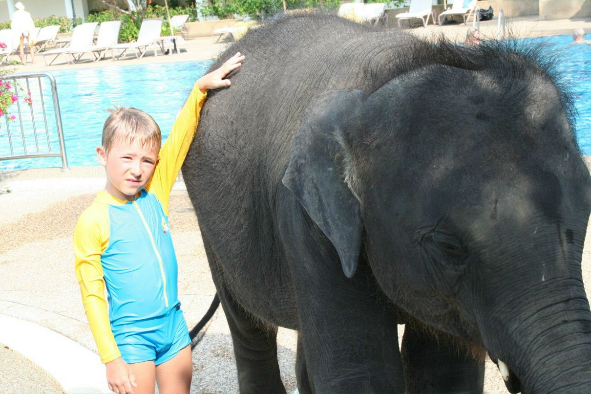 Елена Гребенникова | Санкт-Петербург