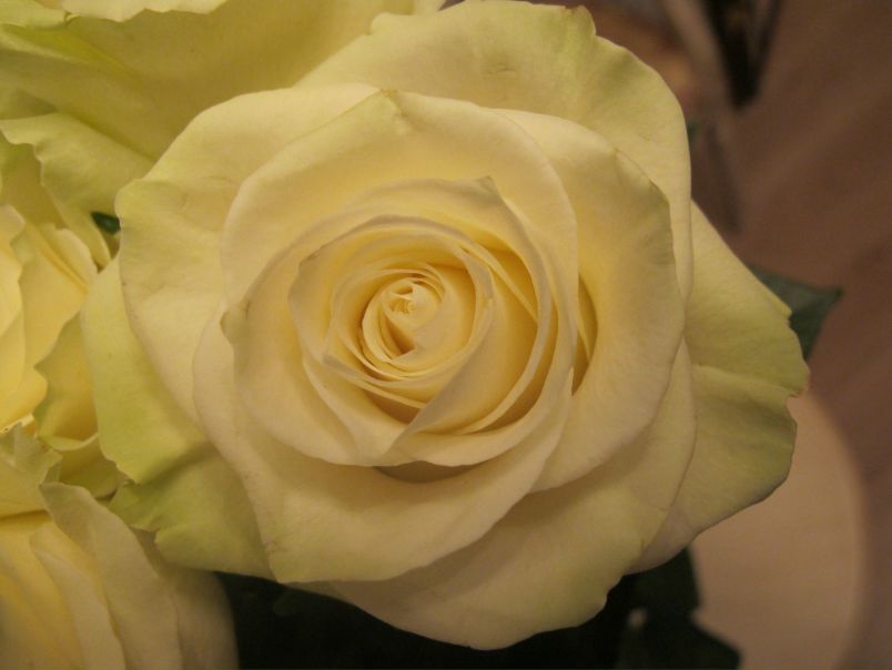 №186, Марина Кривенко, Санкт-Петербург №186, Марина Кривенко, Санкт-Петербург