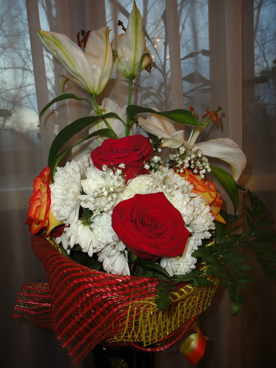 Виктория Первиненко | 