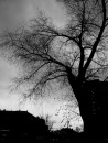 Фотография Рущинского Олега