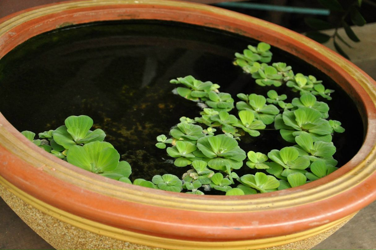 Анна Енина | Москва