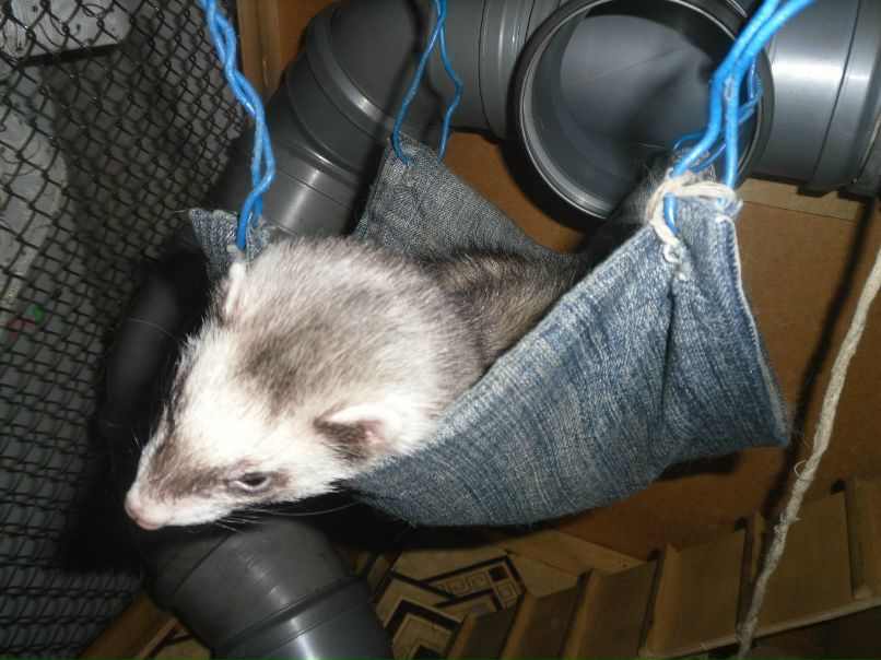 Вера Бойко | Северск