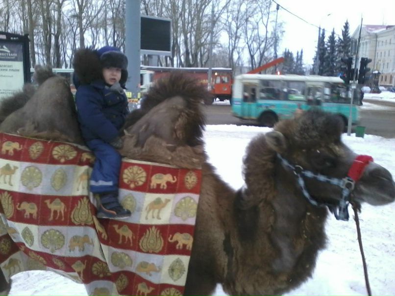 Людмила Козырева (Кулакова) | Архангельск