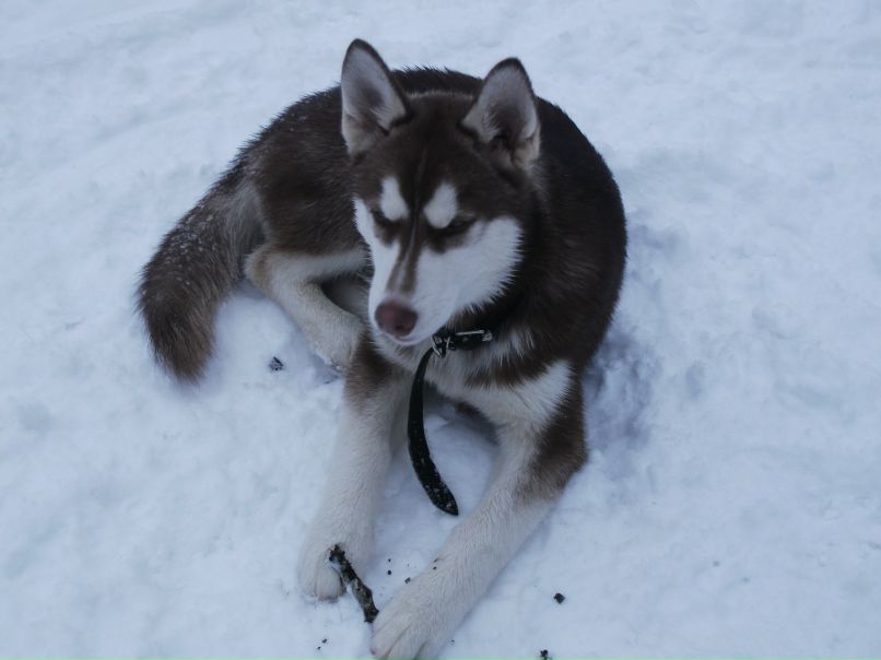 Дима Король | Санкт-Петербург