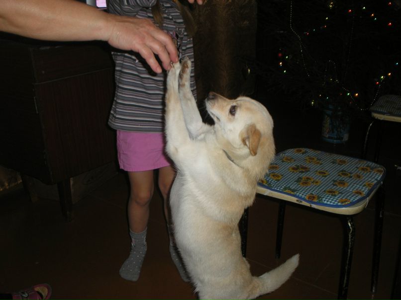 Анатолий Попов | Санкт-Петербург