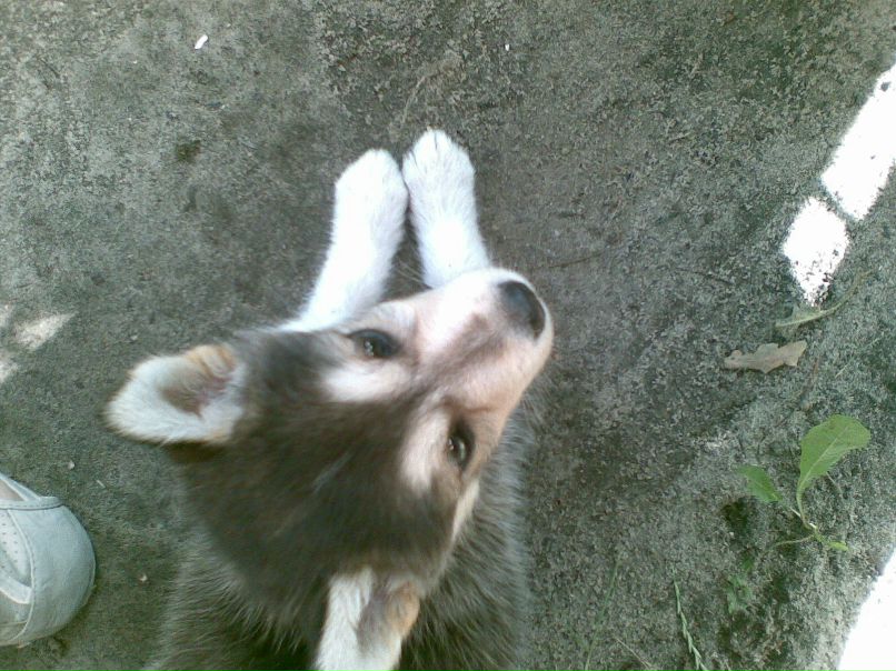 Лина Пасухина | Кривой Рог