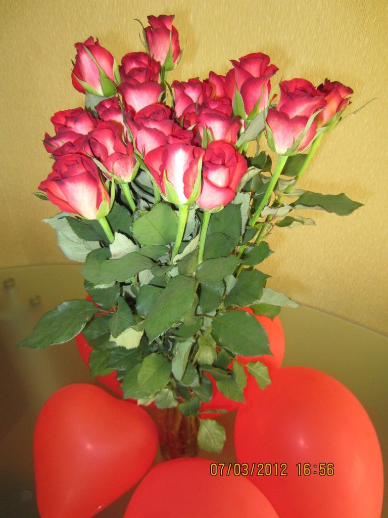 Олечка Каширина | Москва