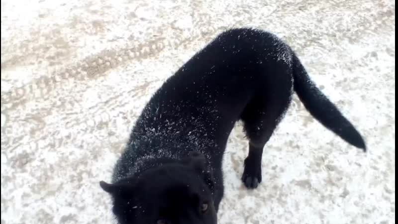 VID_20200213_140050.3gp