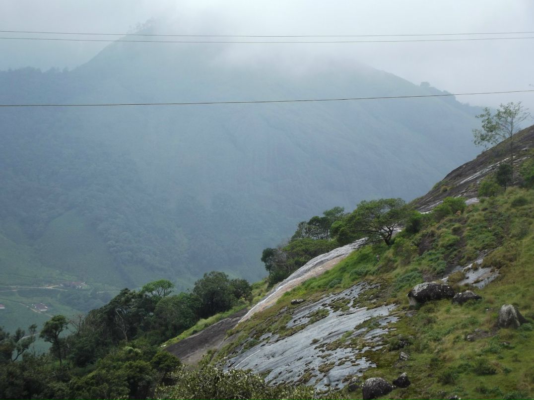 Игорь Гоголев | Тель-Авив