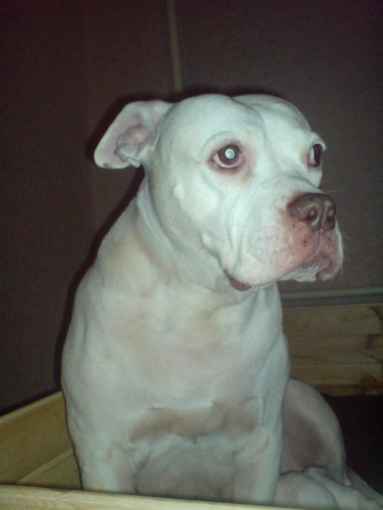 Жека Раджабов | Киев