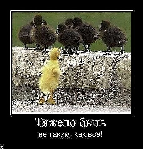 Димка Четин | Пермь