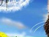 Макс Дуднев | 