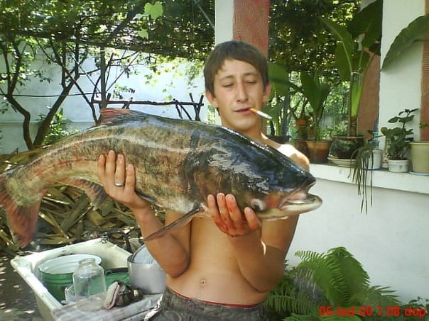 Паша Феннич | Иршава