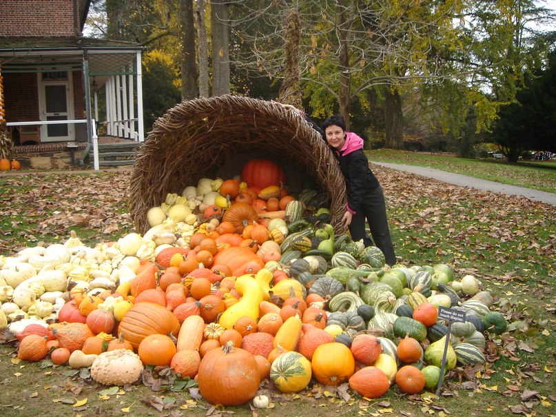 Ольга Балакирева | Москва