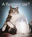 Владимир Виноградов фотография #6