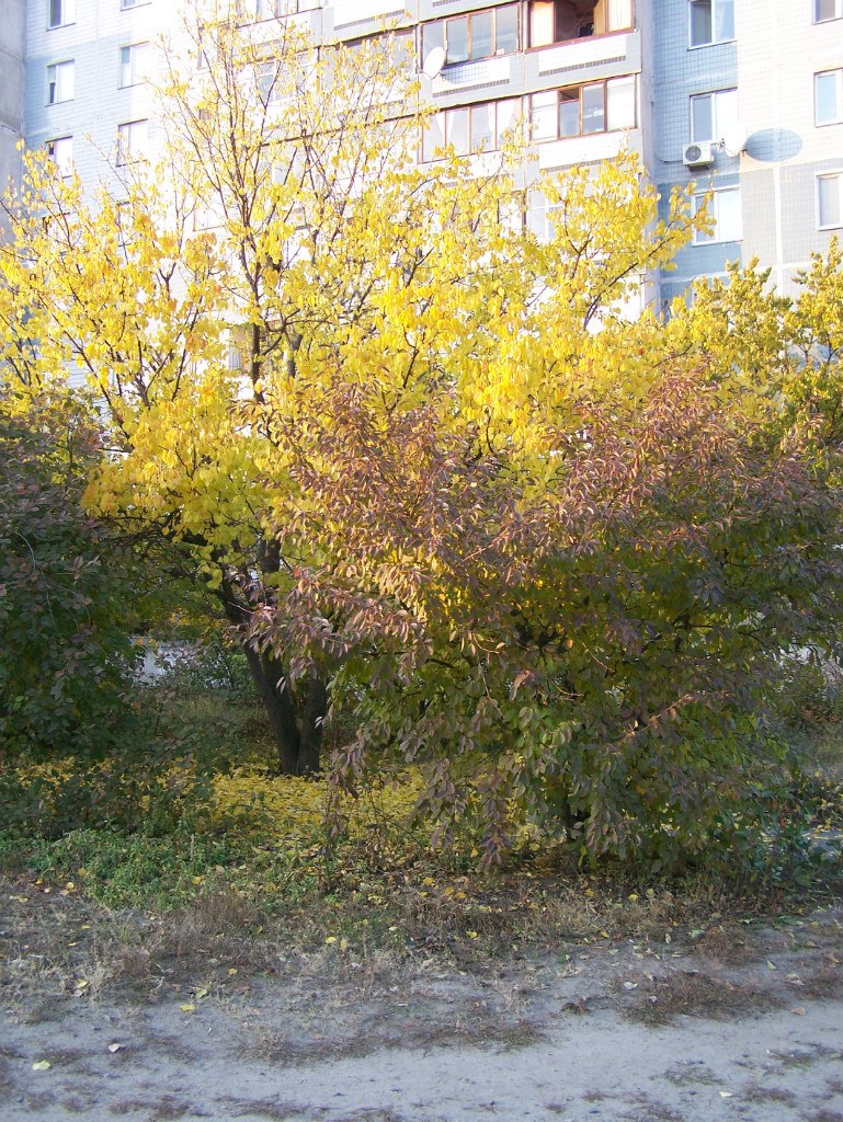 Анатолий Числов | Саратов