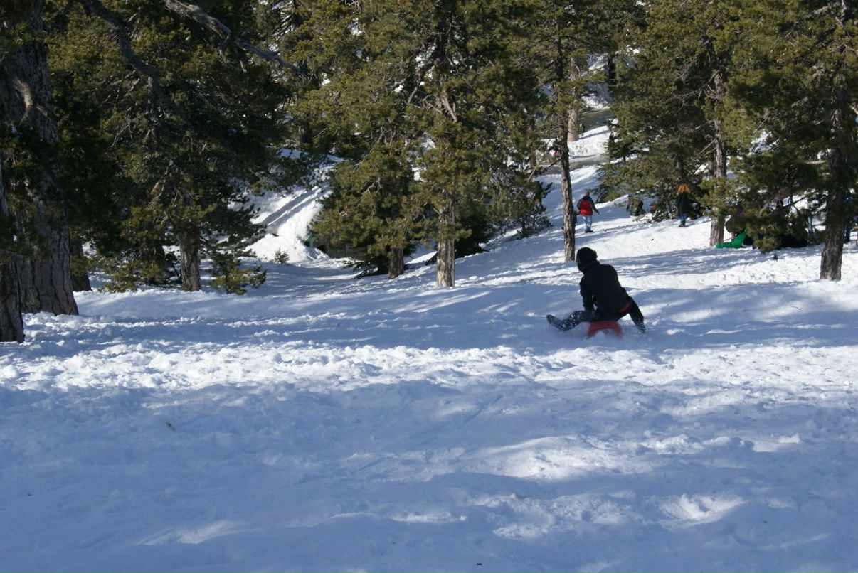 Елена Корсеко | Limassol