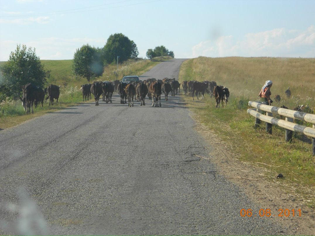 Дмитрий Хапугин | Санкт-Петербург
