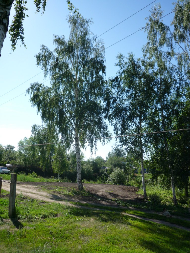 Михаил Щеглов | Москва