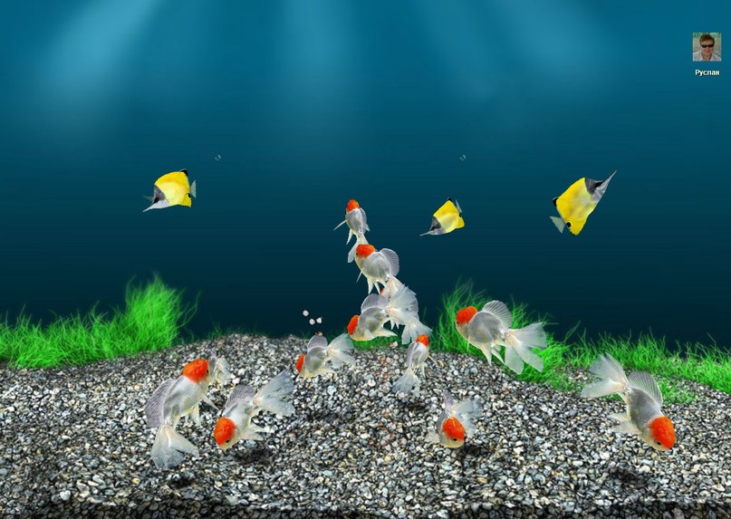 Таня Алексеева владимерна | Павлоград