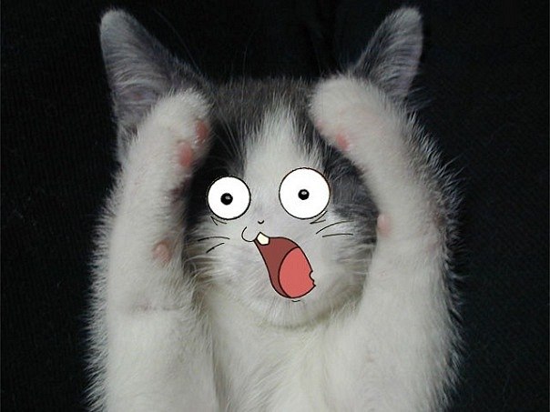 Діма Пробіжанський | Свалява