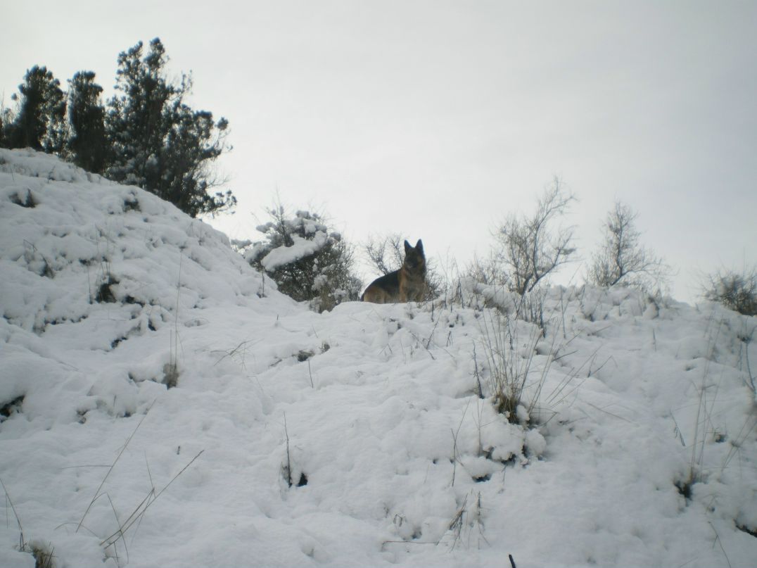 Галина Нуфер | Белгород (поселок)