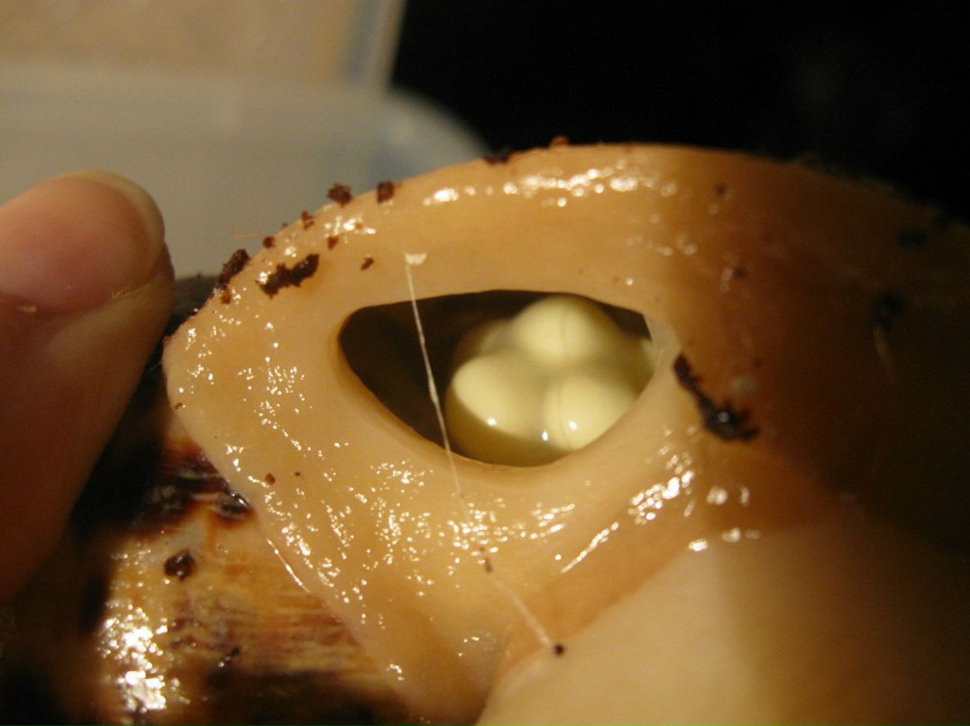 Мария Нежнова ☼Boobamara☼ | Amsterdam