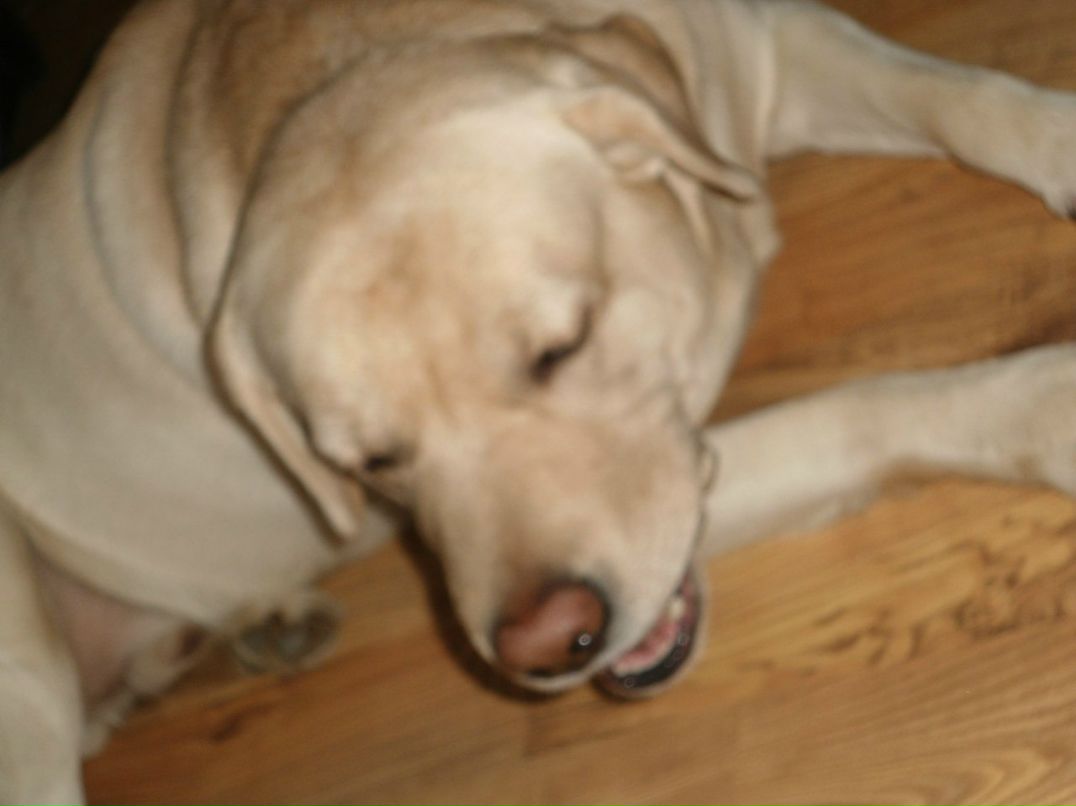 Даня Митрофанов | Москва