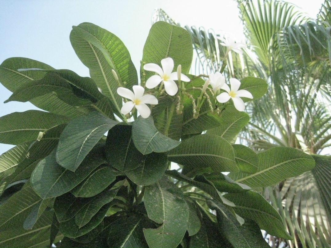 Айнура Керимбаева | Алматы