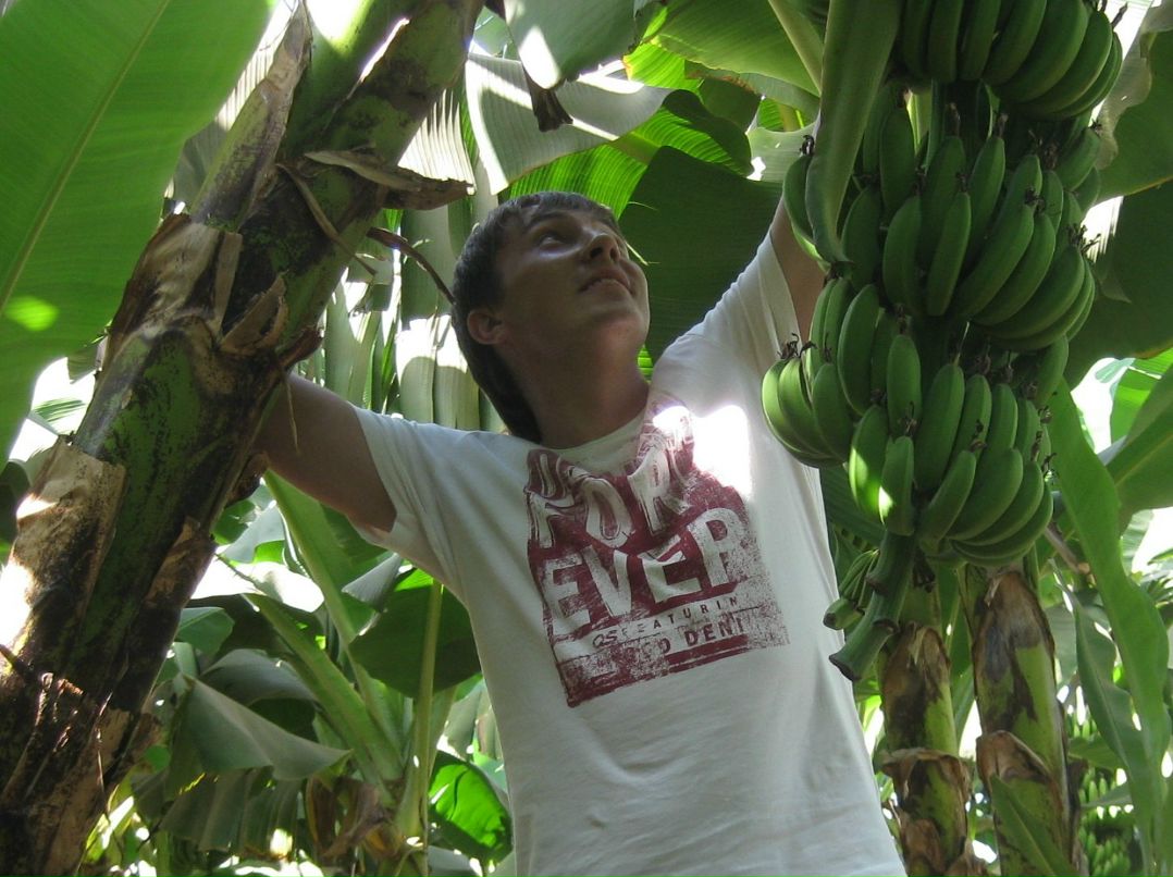 Филипп Воронин Палыч | Челябинск