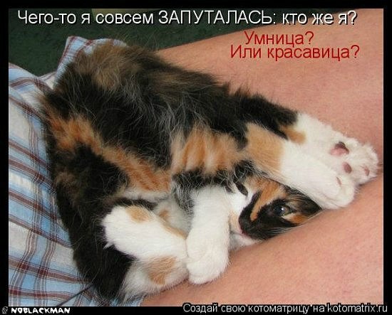 Мария Моисейчева | Киев