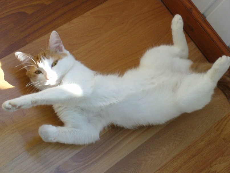 Настюшка Туленова | Калуга