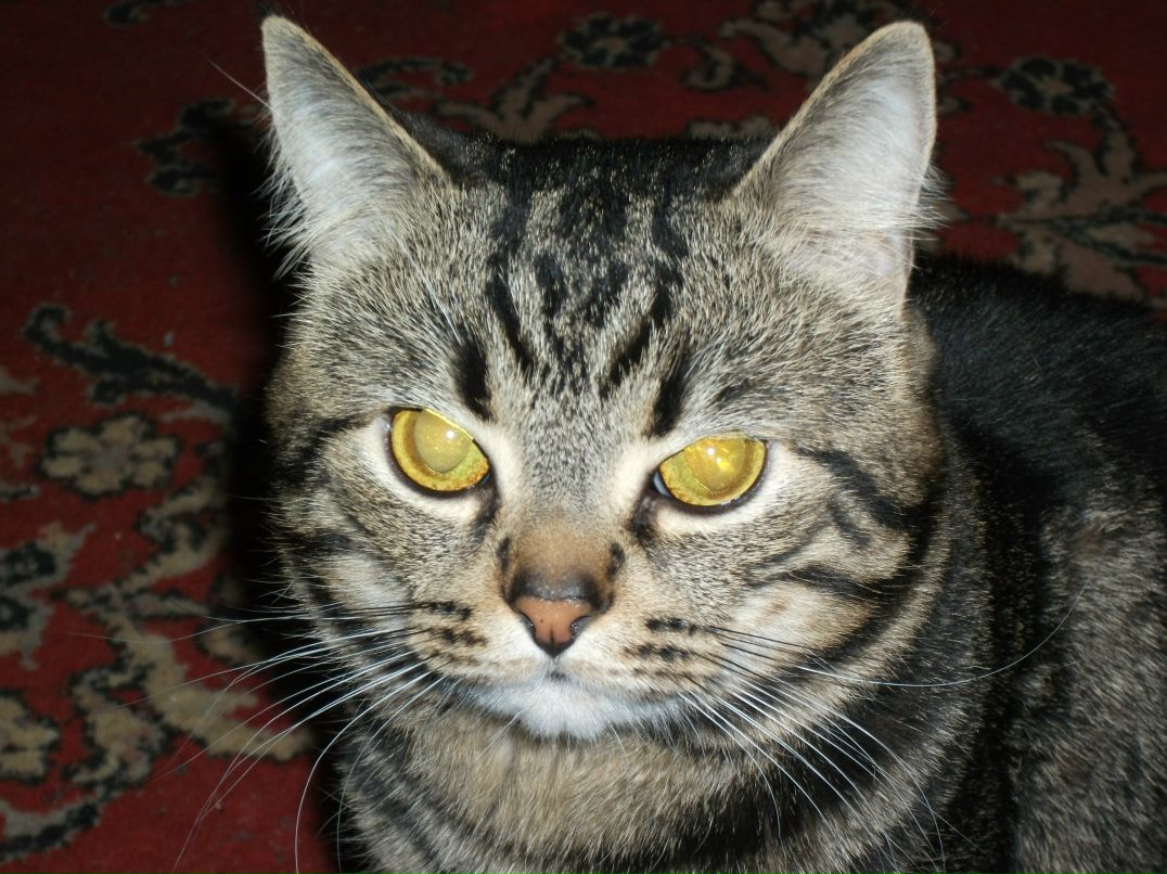 Александр Мальцев | Киров