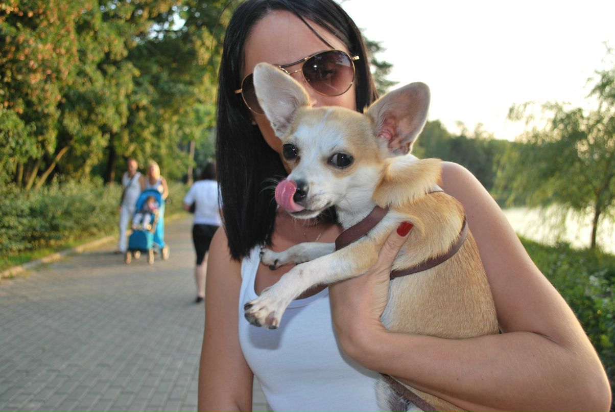 Сария Гарцкия | Москва