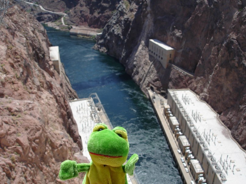 Лягуха Зырящая | Санкт-Петербург