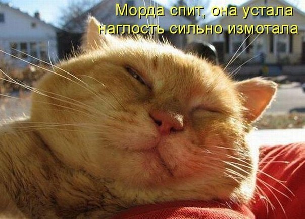 Олеся Дрешер | Санкт-Петербург