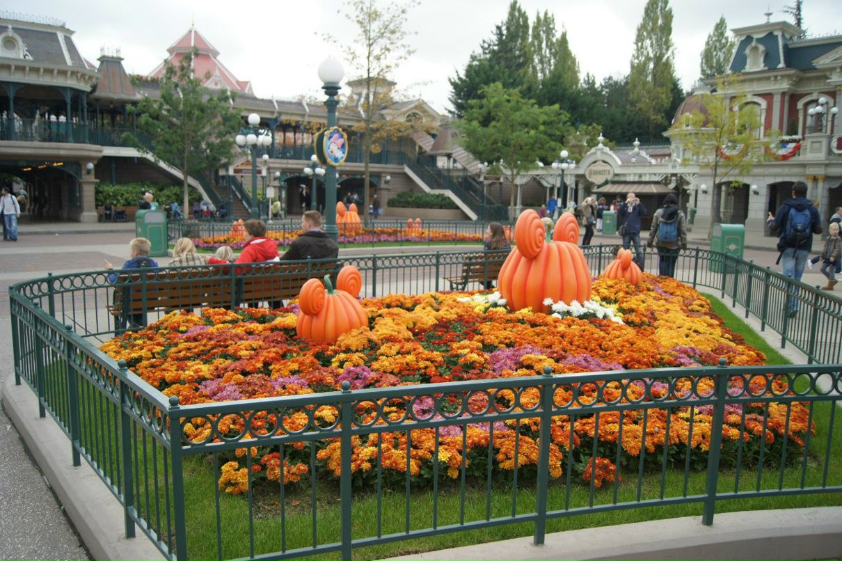 Ленуся Пышнева | Белгород