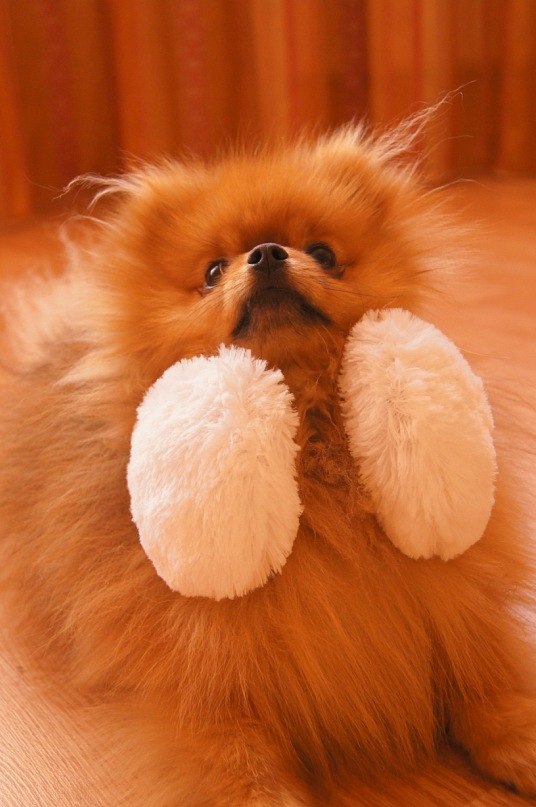 Татьяна Альшина | Саранск