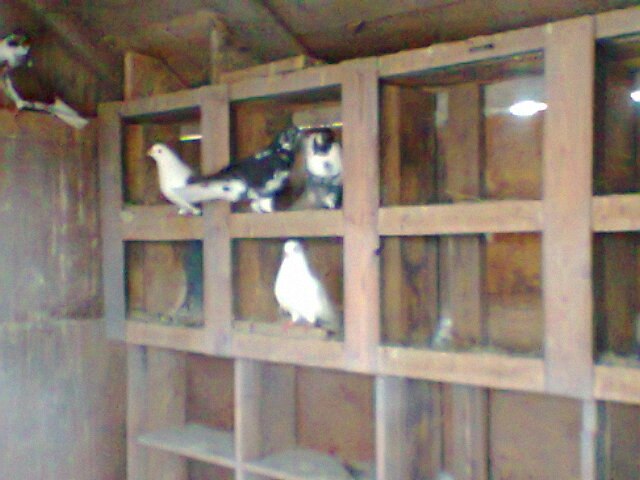 Игорь Авдеев | Москва