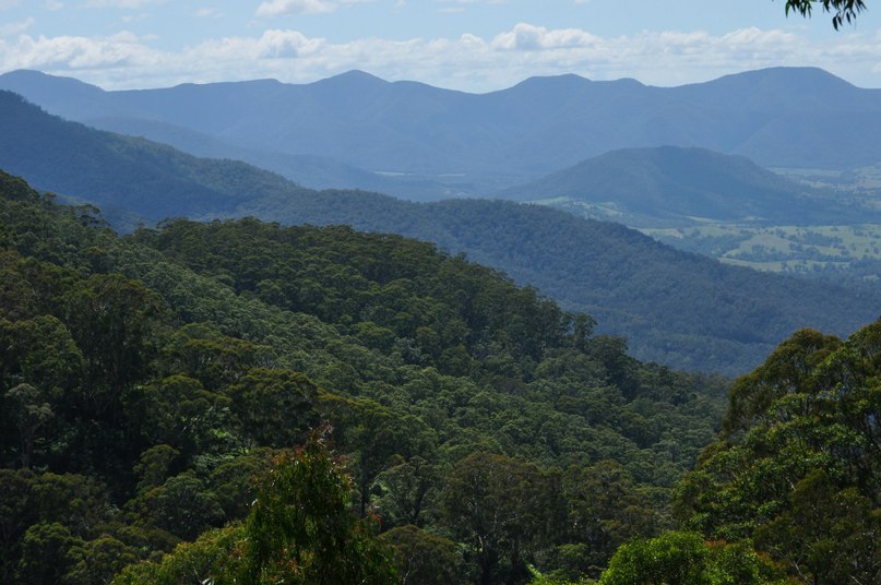 Сергей Мадвауг | Санкт-Петербург