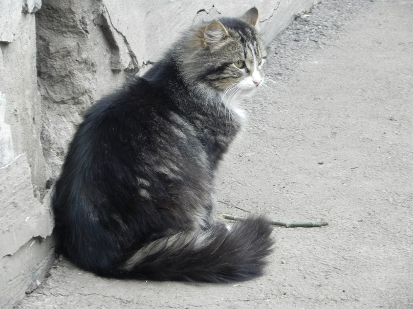 Татьяна Дёмина | Кривой Рог