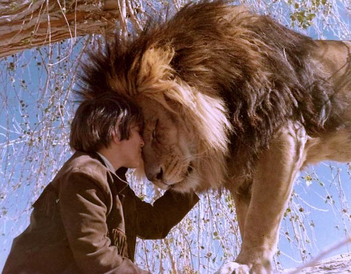 Руслан Трубин | Санкт-Петербург