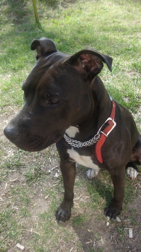 Ketty Semki | Екатеринбург