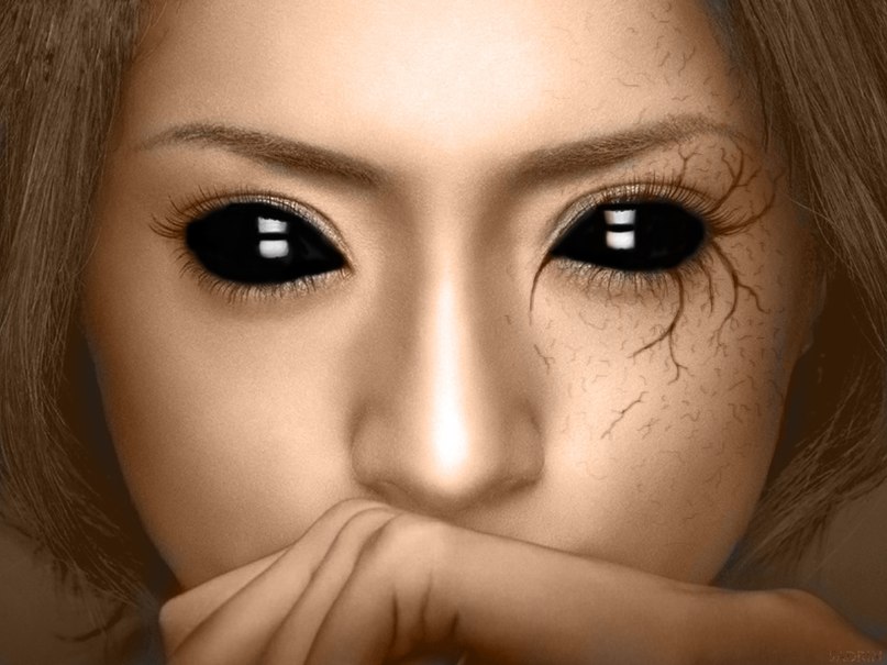 Полина Чиркова | 