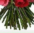 Наталья Клепова | 