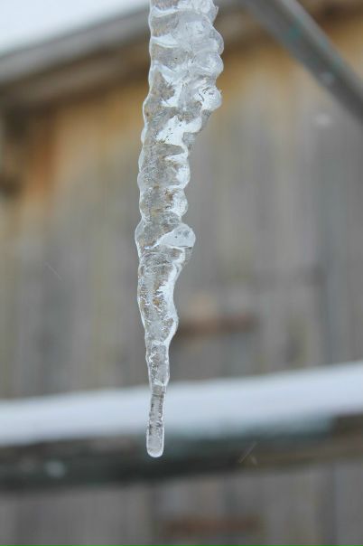 №37, Ленар Гимадиев №37, Ленар Гимадиев