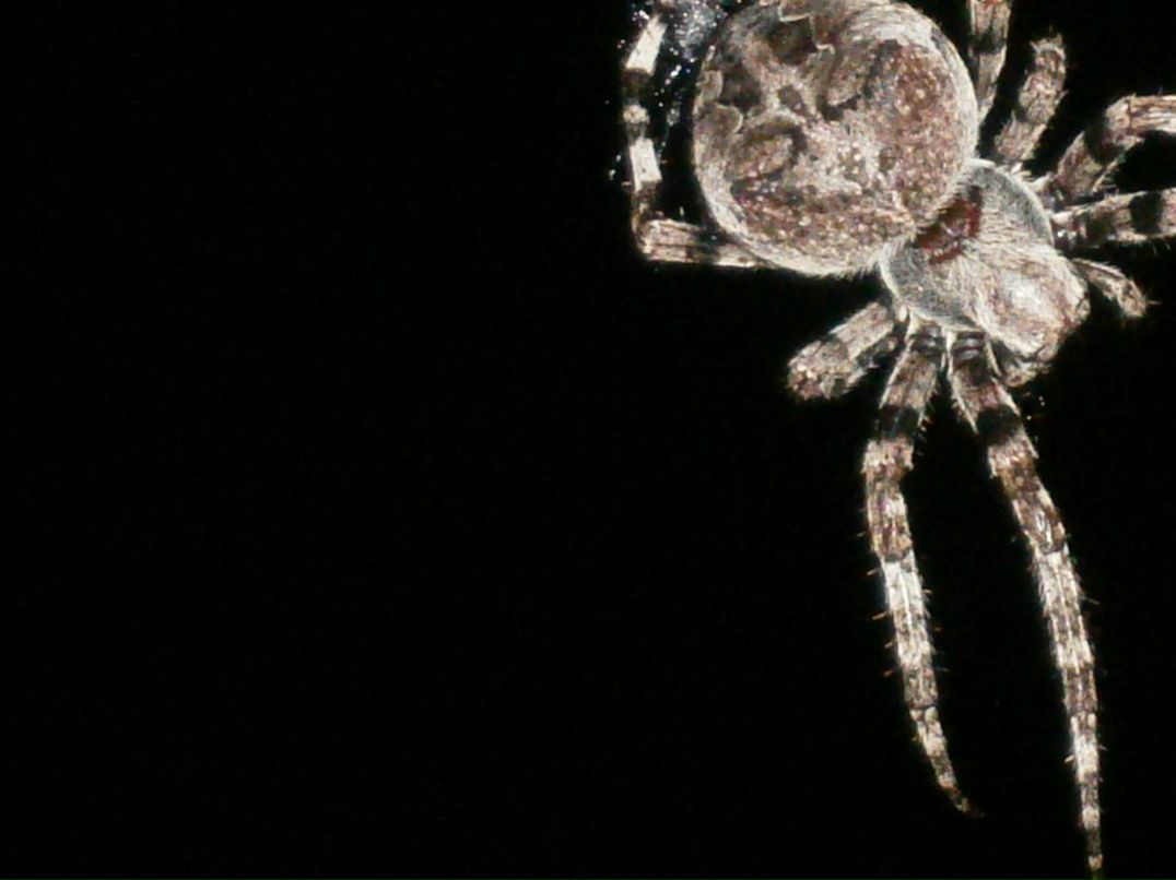 Антон Долгополов | Саратов