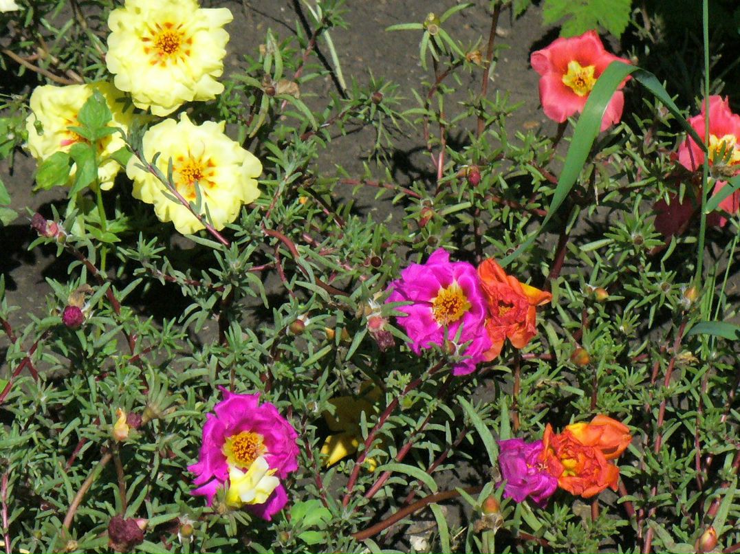 Тамара Логинова | Салават